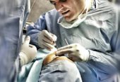 بهترین جراح بینی - دکتر محمدی مفرد